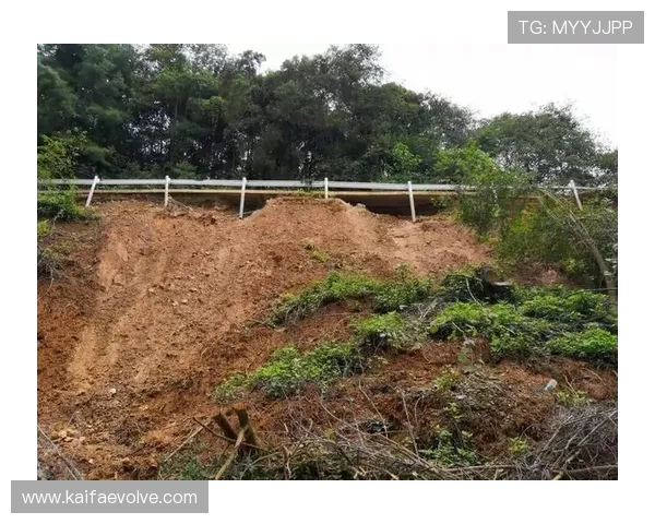 解决k8手机登录官网无法登录问题的详细步骤与常见故障排查指南